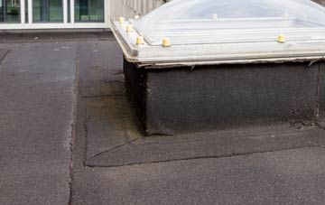 disadvantages of Weaverslake flat roofs