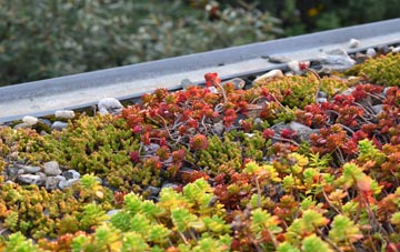 the cost of Weaverslake green roof installation