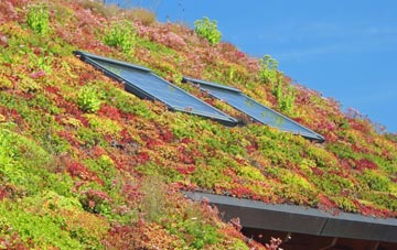 Weaverslake living roof systems