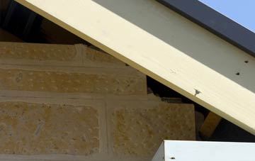 soffit repair Weaverslake