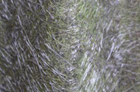 Weaverslake fibreglass roof work